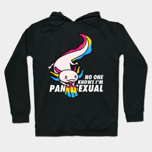 Pansexual Pride Axolotl Hoodie